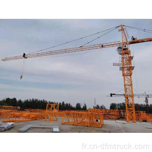 Grue à tour de 100 m de hauteur de 5 tonnes